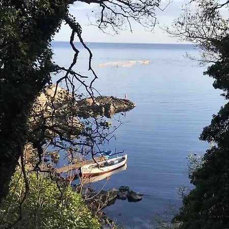 Paradise Bay D8 Σωζόπολη