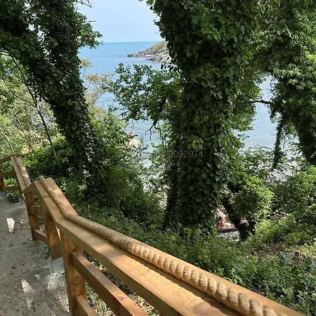 Paradise Bay D8 Σωζόπολη