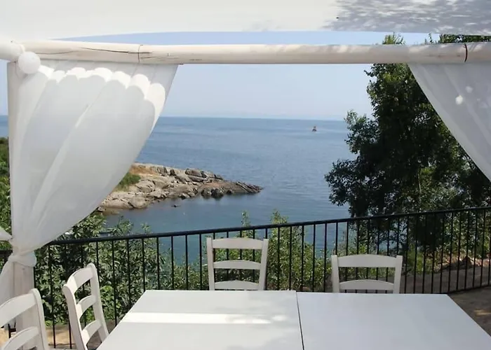 Paradise Bay D8 סוזופול