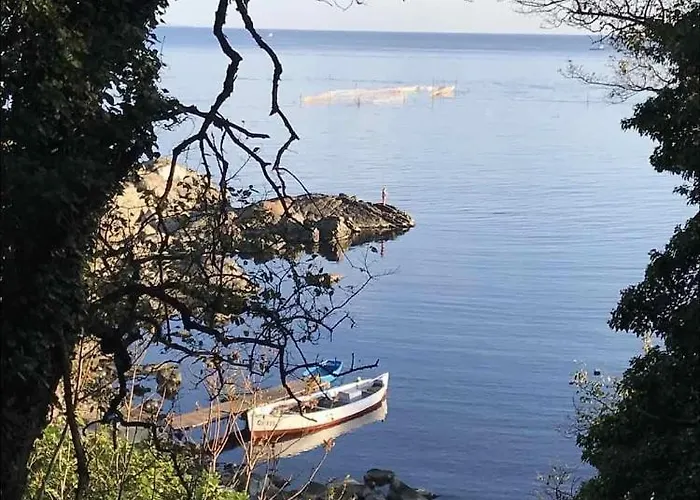 Paradise Bay D8 סוזופול