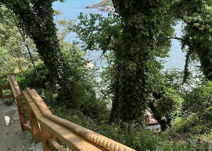 Paradise Bay D8 סוזופול